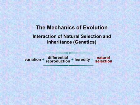 The Mechanics of Evolution Interaction of Natural Selection and Inheritance (Genetics)