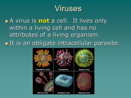 Viruses  A virus is not a cell. It lives only within a living cell and has no attributes of a living organism.  It is an obligate intracellular parasite.