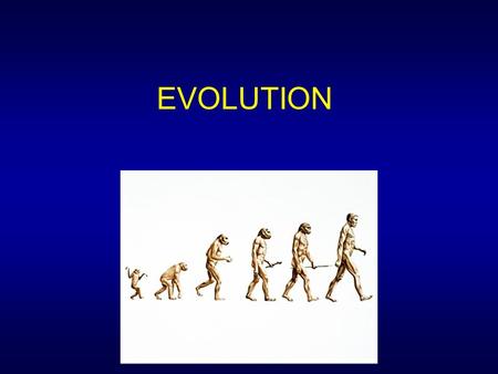 EVOLUTION. I. Theory of Evolution A.Differences in individuals can lead to changes in an entire species B.Began with Charles Darwin, now expanded upon.