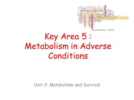 Key Area 5 : Metabolism in Adverse Conditions