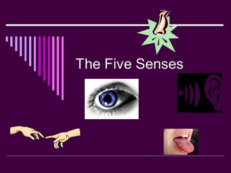 The Five Senses. What are the five senses?  What does a chocolate chip cookie taste like?  What does an ocean look like?  What does a skunk smell like?