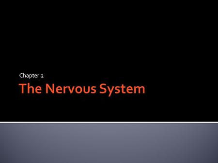Chapter 2.  Central Nervous System (CNS)  Brain and Spinal Cord (all nerves within our bones) p. 61  Peripheral Nervous System (PNS)  All other nerves.