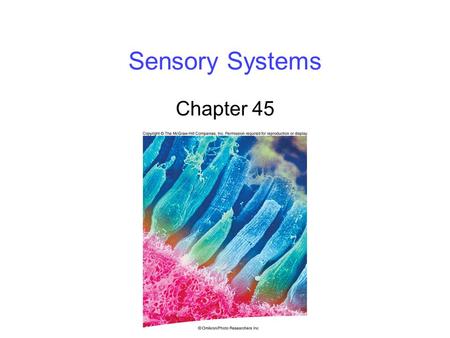 Sensory Systems Chapter 45.