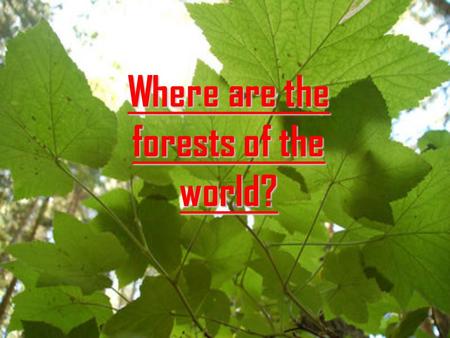 Where are the forests of the world?. Where are forests in Canada?