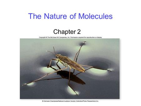 The Nature of Molecules Chapter 2. 2 Atomic Structure All matter is ____________ atoms. Understanding the structure of atoms is critical to understanding.