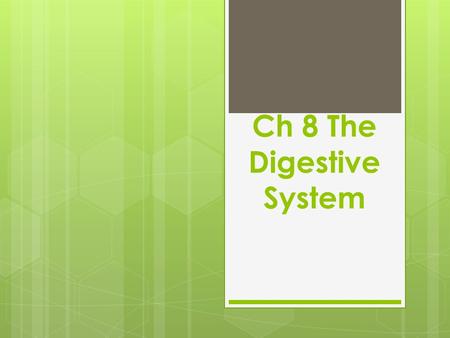 Ch 8 The Digestive System. Terms  Pharynx- pharyng/o- transports food from the mouth to the esophagus  Esophagus- esophag/o- transports food from the.