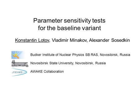 Parameter sensitivity tests for the baseline variant Konstantin Lotov, Vladimir Minakov, Alexander Sosedkin Budker Institute of Nuclear Physics SB RAS,