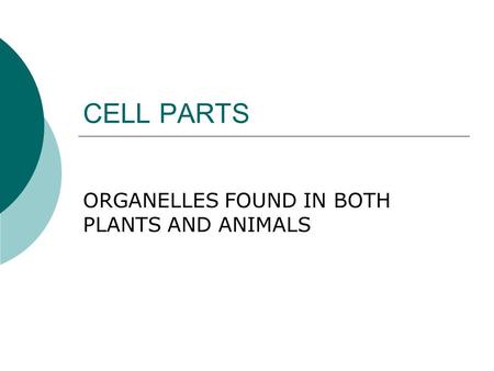 CELL PARTS ORGANELLES FOUND IN BOTH PLANTS AND ANIMALS.