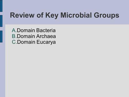 Review of Key Microbial Groups