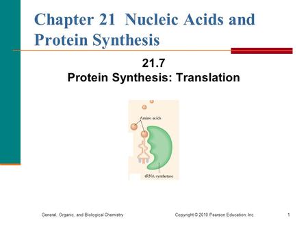 General, Organic, and Biological Chemistry Copyright © 2010 Pearson Education, Inc.1 Chapter 21 Nucleic Acids and Protein Synthesis 21.7 Protein Synthesis:
