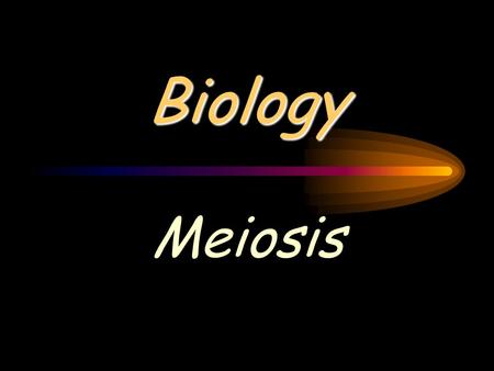Biology Meiosis.