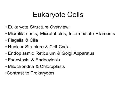 Eukaryote Cells Eukaryote Structure Overview: Microfilaments, Microtubules, Intermediate Filaments Flagella & Cilia Nuclear Structure & Cell Cycle Endoplasmic.