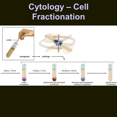 Cytology – Cell Fractionation. Cytology -- Microscopy.