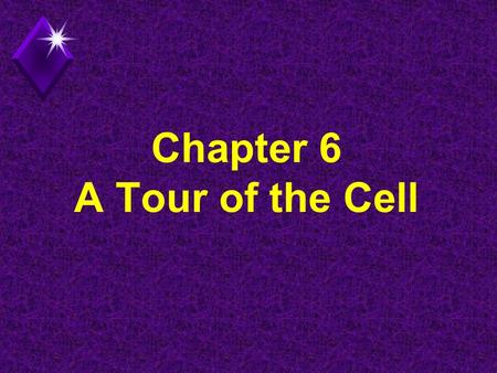 Chapter 6 A Tour of the Cell. Types of Cells u Prokaryotic (bacteria) - lack a nucleus and other membrane bounded structures (simple) u Eukaryotic (plant.