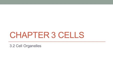 CHAPTER 3 CELLS 3.2 Cell Organelles. KEY CONCEPT Eukaryotic cells share many similarities.