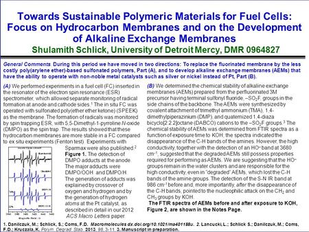 Towards Sustainable Polymeric Materials for Fuel Cells: Focus on Hydrocarbon Membranes and on the Development of Alkaline Exchange Membranes Shulamith.