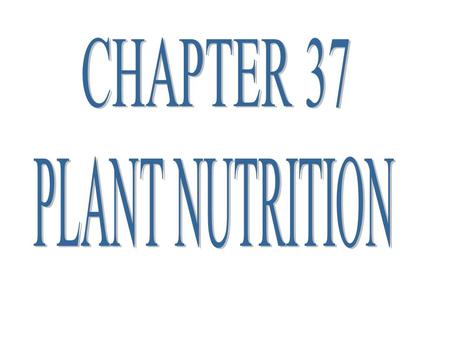 CHAPTER 37 PLANT NUTRITION.