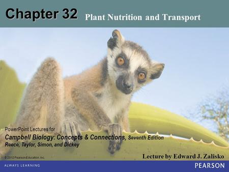 Plant Nutrition and Transport
