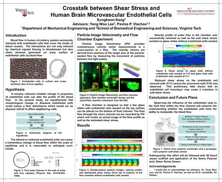 Crosstalk between Shear Stress and Human Brain Microvascular Endothelial Cells Sungkwon Kang 1 Advisors: Yong Woo Lee 2, Pavlos P. Vlachos 1,2 1 Department.