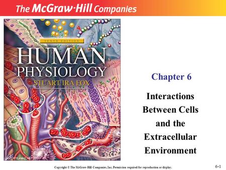 Copyright © The McGraw-Hill Companies, Inc. Permission required for reproduction or display. Chapter 6 Interactions Between Cells and the Extracellular.
