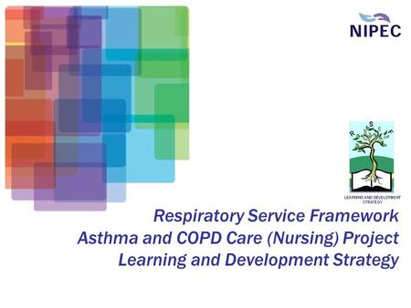 Respiratory Service Framework Asthma and COPD Care (Nursing) Project Learning and Development Strategy.