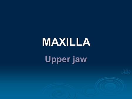 MAXILLA Upper jaw.  Anatomy (repetition), widespread description  Clinical notes  Dentoalveolar topography: - transverse asymmetry of alveolus - rate.