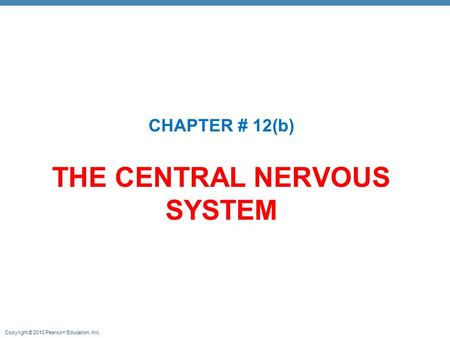 THE CENTRAL NERVOUS SYSTEM