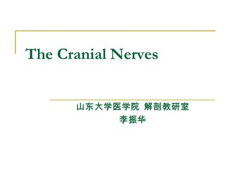The Cranial Nerves 山东大学医学院 解剖教研室 李振华.