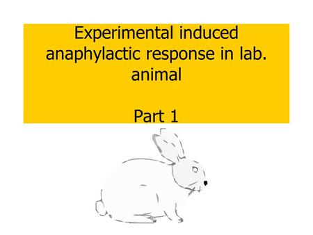 Experimental induced anaphylactic response in lab. animal Part 1
