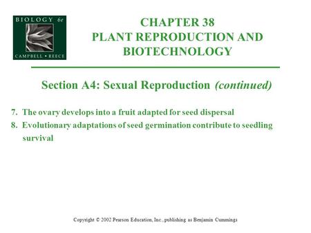 CHAPTER 38 PLANT REPRODUCTION AND BIOTECHNOLOGY Copyright © 2002 Pearson Education, Inc., publishing as Benjamin Cummings Section A4: Sexual Reproduction.