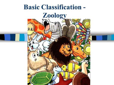 Basic Classification - Zoology. Classification of Organisms Kingdom Phylum Class Order Family Genus Species.