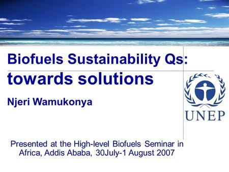 Biofuels Sustainability Qs: towards solutions Njeri Wamukonya Presented at the High-level Biofuels Seminar in Africa, Addis Ababa, 30July-1 August 2007.