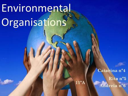 Environmental Organisations Andreia nº6 Catarina nº4 Rita nº5 11ºA.