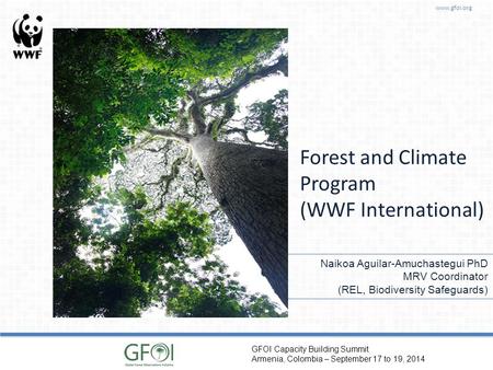Www.gfoi.org GFOI Capacity Building Summit Armenia, Colombia – September 17 to 19, 2014 Forest and Climate Program (WWF International) Naikoa Aguilar-Amuchastegui.