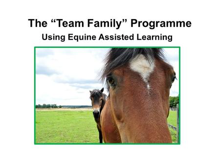 The “Team Family” Programme Using Equine Assisted Learning.