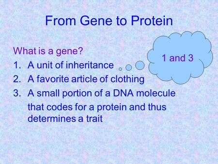 From Gene to Protein What is a gene? 1.A unit of inheritance 2.A favorite article of clothing 3.A small portion of a DNA molecule that codes for a protein.