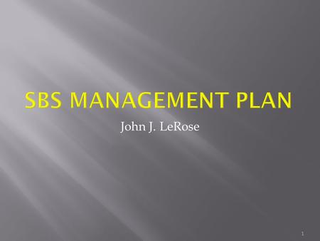 John J. LeRose 1.  Roles/Responsibilities/Organization  Approach  Goals and Objectives  Scope  Schedule  Funding profile  Risk management  EH&S.
