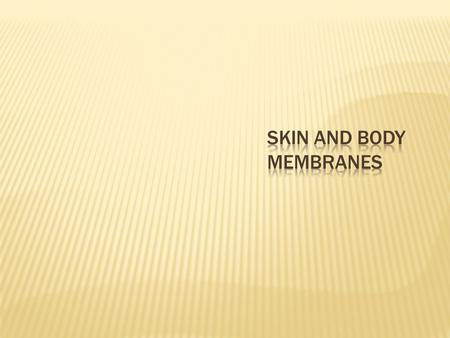 Function of body membranes  Cover body surfaces  Line body cavities  Form protective sheets around organs.