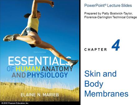 © 2012 Pearson Education, Inc. PowerPoint ® Lecture Slides Prepared by Patty Bostwick-Taylor, Florence-Darlington Technical College C H A P T E R 4 Skin.