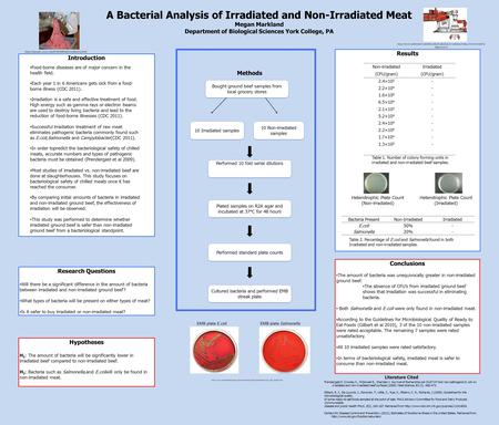 A Bacterial Analysis of Irradiated and Non-Irradiated Meat Megan Markland Department of Biological Sciences York College, PA Introduction Hypotheses H.