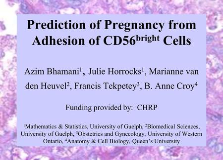 Prediction of Pregnancy from Adhesion of CD56 bright Cells Azim Bhamani 1, Julie Horrocks 1, Marianne van den Heuvel 2, Francis Tekpetey 3, B. Anne Croy.