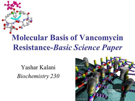 Molecular Basis of Vancomycin Resistance-Basic Science Paper Yashar Kalani Biochemistry 230.