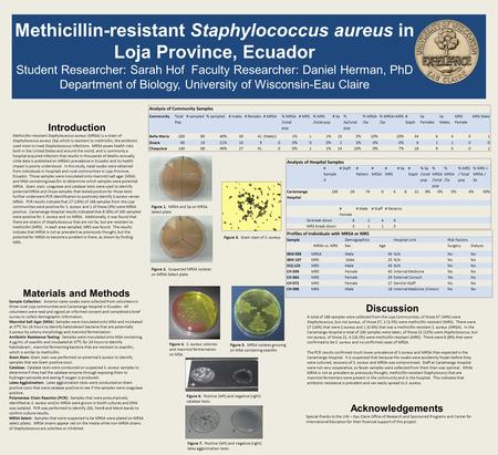 Methicillin-resistant Staphylococcus aureus in Loja Province, Ecuador Student Researcher: Sarah Hof Faculty Researcher: Daniel Herman, PhD Department of.