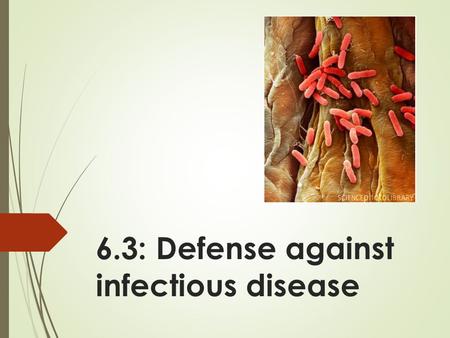 6.3: Defense against infectious disease. A pathogen is an organism or virus that causes disease. There are different types of pathogen.