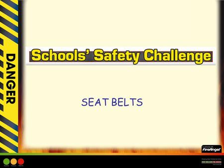 SEAT BELTS. Learning Objective: –To encourage children to use a car safety seat or a seatbelt. –To encourage children to think about why they should wear.
