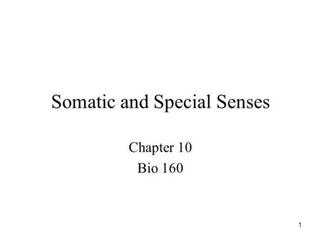 1 Somatic and Special Senses Chapter 10 Bio 160. 2 Introduction Sensory receptors detect changes in the environment and stimulate neurons to send nerve.