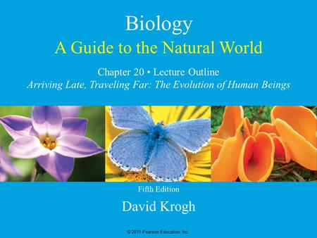 A Guide to the Natural World David Krogh © 2011 Pearson Education, Inc. Chapter 20 Lecture Outline Arriving Late, Traveling Far: The Evolution of Human.