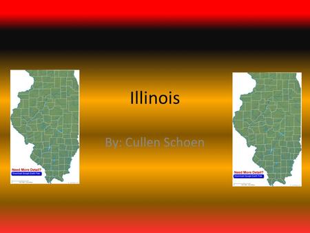 Illinois By: Cullen Schoen. State Flag It was adopted on June 27, 1969. Designed by Sharon Tyndale.