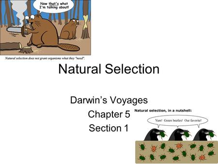 Darwin’s Voyages Chapter 5 Section 1