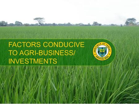 FACTORS CONDUCIVE TO AGRI-BUSINESS/ INVESTMENTS. TARLAC’s AGRI-BUSINESS/ INVESTMENTS POTENTIAL VAST FERTILE LAND HIGHLY SUITABLE FOR AGRICULTURE.